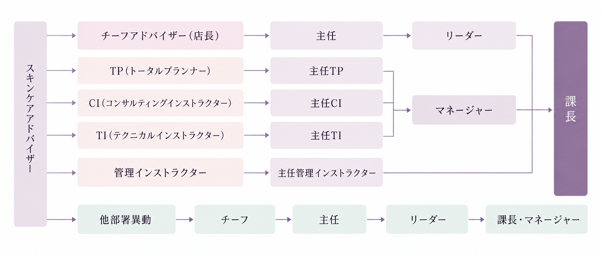 スキンケアアドバイザーからチーフアドバイザー（店長）、TP（トータルプランナー）、CI（コンサルティングインストラクター）、TI（テクニカルインストラクター）、管理インストラクターの各役割へ進み、それぞれ主任職を経て、リーダーやマネージャーを経由して課長へとキャリアアップしていくフロー図。他部署異動の場合は、チーフ、主任、リーダーを経て課長・マネージャーへとつながる。
