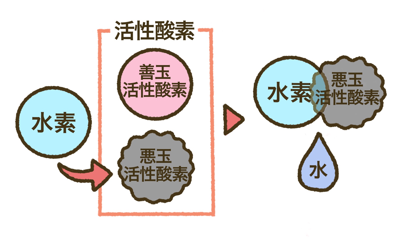 水素は身体の万能調味料 水素のチカラ Ebm Channelーebmチャンネル